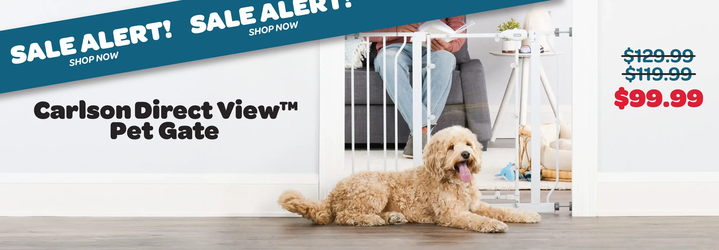 Safety and Comfort for Every Pet